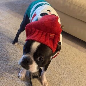 Meet your Posher, Wade